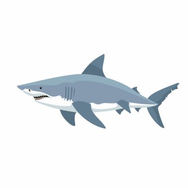 Şekillendirilmiş gri bir köpekbalığı okyanus suyunda pürüzsüzce yüzer. Aerodinamik gövdesini ve keskin yüzgeçlerini sergiler. Tasarım, güçlü varlığını garip bir şekilde vurguluyor..