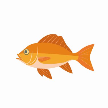 Canlı bir turuncu balık, pürüzsüz pulları ve ayrıntılı yüzgeçleriyle zarifçe yüzer. Yaratık, doğal güzelliğini vurgulayarak sakin bir suda hareket ediyor..