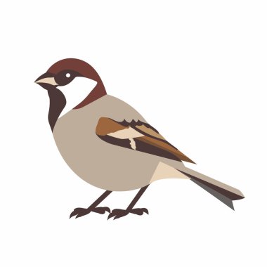 Bir serçe, farklı renk ve özelliklerini sergileyen basit, stilize bir tasarım ile tasvir edilir. Kuş hareketsiz duruyor, gün ışığında düz bir zemine vurgulanıyor..