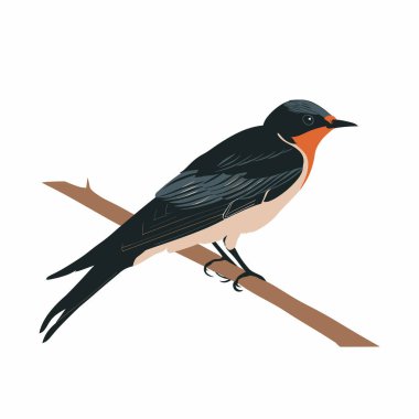 Canlı tüyleri olan bir kuş bir dala bağlıdır. Siyah kanatları ve turuncu boğazı ince, minimalist bir arkaplanla sakin bir anda doğanın güzelliğini gözler önüne seriyor..