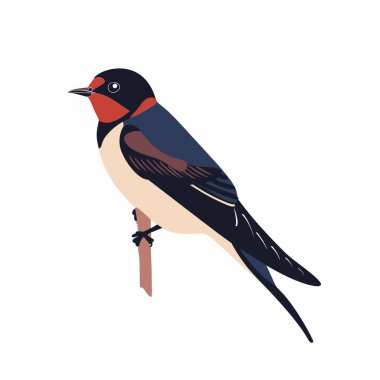 Canlı kırmızı ve mavi tüylü bir kırlangıç zarif bir şekilde ince bir dalda duruyor. Arka plan güneşli bir gün olduğunu gösteriyor. Kuşun çarpıcı renklerini ve şeklini arttırıyor..