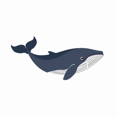 Bir kambur balina sakin mavi okyanusta süzülerek görkemli vücudunu ve kendine özgü yüzgeçlerini sergiliyor. Güneş ışığı sudan yansıyarak balinanın hareketlerini vurgular..