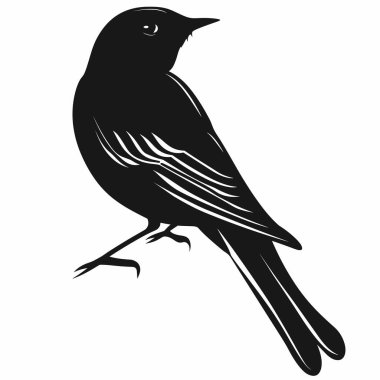 İnce gövdeli ve belirgin işaretleri olan küçük bir kuş bir dalın üzerinde duruyor. Ayar, kuşun ayrıntılarını ve duruşunu gün ışığında vurgulayarak doğal çevreyi gösteriyor..