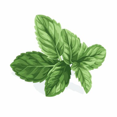 Parlak yeşil nane yaprakları zengin dokusunu ve canlı rengini sergiler, aroma tabakları veya içecekler için idealdir. Çeşitli tarifleri süslemek ya da geliştirmek için mükemmel..