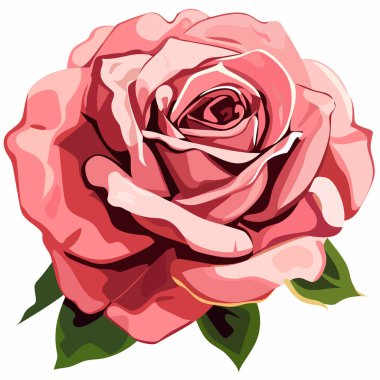 Göz kamaştırıcı pembe bir gül yumuşak renklerle karışık, katmanlı taç yapraklarını sergiler. Zengin yeşil yapraklar çiçeği tamamlıyor, doğal güzelliğini ve zarafetini vurguluyor..