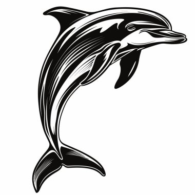 Bir yunus, temiz okyanus sularında dinamik hareketlerini gösteren bir sıçramanın ortasında yakalanır. Parlak vücut ve neşeli ruh canlı bir sahil manzarasında deniz yaşamının güzelliğini vurgular..