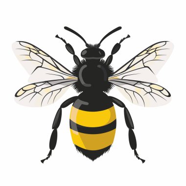 Ayırt edici siyah ve sarı çizgili bir arı renkli bir bahçede güneşli bir günde canlı bir çiçekten nektar toplar. Kanatları hafifçe açık, güneş ışığını yakalıyor..