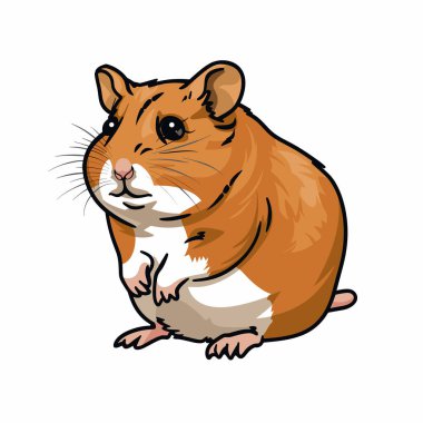 Beyaz göbekli küçük kahverengi bir hamster dik oturur, meraklı bir şekilde büyük parlak gözlerle bakar. Hamsterın kürkü yumuşak ve yumuşaktır. Sevimli özelliklerini ön plana çıkarır..