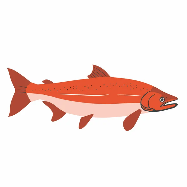 Bu resimde canlı bir somon balığının sualtı habitatında zarifçe yüzdüğü görülüyor..