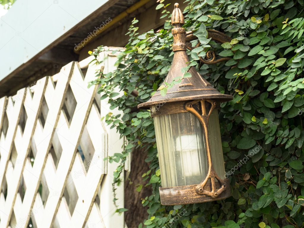 Nice lamp style, In the backyard. Mounted on a wall made of cement. 