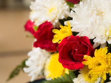 Canlı çiçek, seçici odak kırmızı gül demet. 