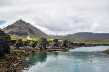 Картина, постер, плакат, фотообои "береговая линия арнарстапи на полуострове снайфельснес на западе исландии", артикул 427757094