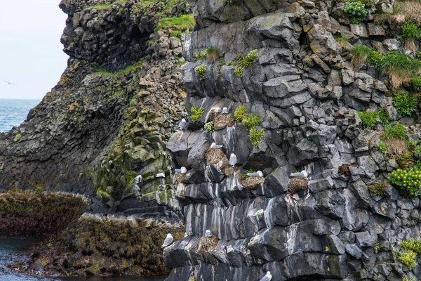 Die Felsen Von Arnarstapi Auf Der Halbinsel Snaefellsnes Westen Islands — Stockfoto
