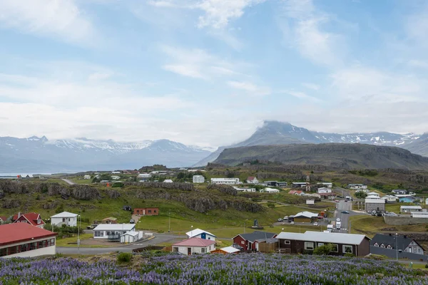 Village Djupivogur Dans Est Islande Jour Été — Photo