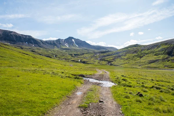 Doğu İzlanda 'daki Breidavik Vadisi' nden geçen yol.