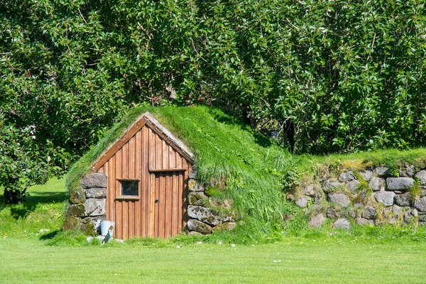 Ancien Entrepôt Traditionnel Gazon Sur Campagne Islandaise — Photo