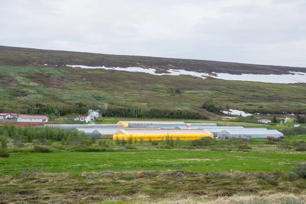 Estufa Zona Rural Islândia Norte — Fotografia de Stock