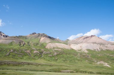 Güneşli bir yaz gününde, doğu İzlanda, Breidavik 'te bir dağ