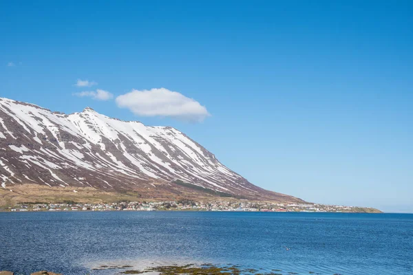 東アイスランドの田舎にあるネスカウプスターダーの町 — ストック写真