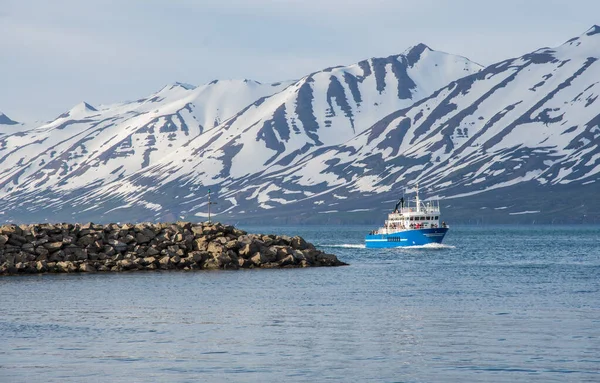 Arskogssandur Islândia Junho 2020 Ferry Saevar Que Chega Ilha Hrisey — Fotografia de Stock