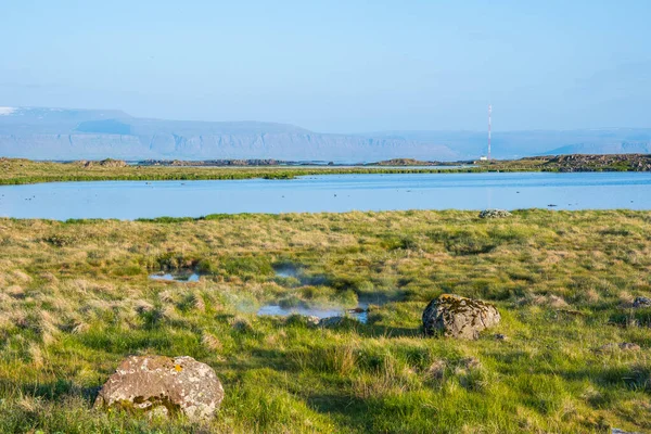 Den Vackra Naturen Reykholar Västra Island — Stockfoto