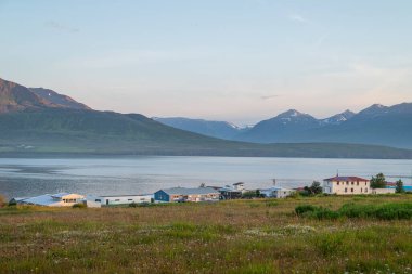 Kuzey İzlanda 'daki Hrisey adasının güzel manzarası