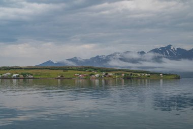 Kuzey İzlanda 'daki Hrisey adasının güzel manzarası