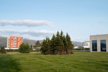 Kuzey İzlanda 'daki Akureyri kasabası manzarası