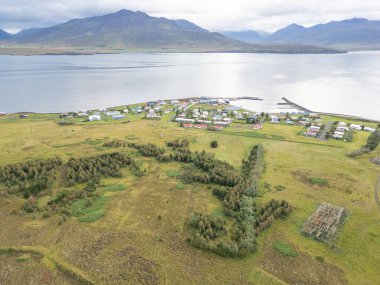 Kuzey İzlanda 'daki Hrisey Adası manzarası