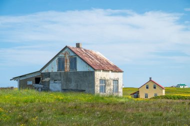 Kuzey İzlanda 'daki Flatey adasının güzel manzarası