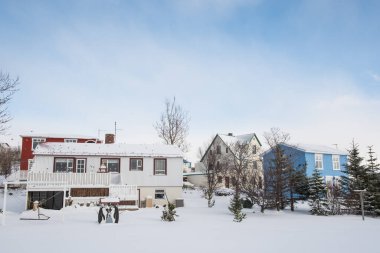 Kuzey İzlanda 'da Hrisey köyündeki binalar