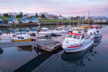Hrisey İzlanda - 15 Temmuz. 2024: Limanda gün batımı