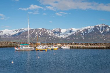 Hrisey İzlanda - 24 Haziran. 2024: Limanda tekneler