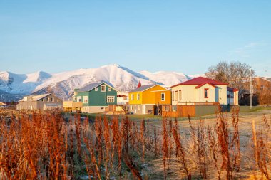 Kuzey İzlanda 'daki Hrisey adasındaki köy.