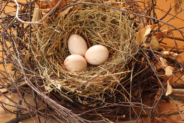 3 Eier im Nest — Stockfoto