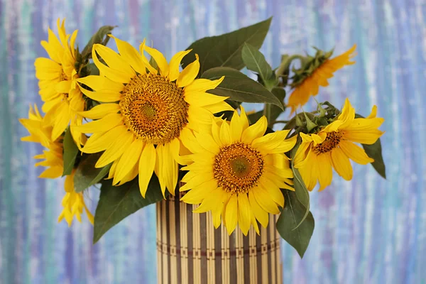 Blumen Sonnenblume in einer Vase. Stockfoto