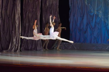 Bu sonsuz bale masalı.