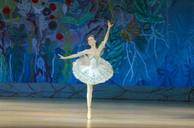 Bu sonsuz bale masalı.