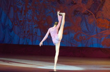 Bu sonsuz bale masalı.