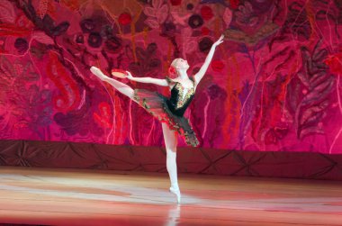 Bu sonsuz bale masalı.