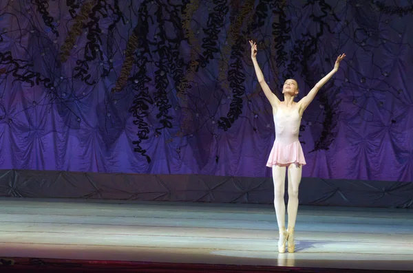 Este cuento de ballet eterno . —  Fotos de Stock