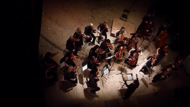 Quatro estações Orquestra de Câmara — Vídeo de Stock