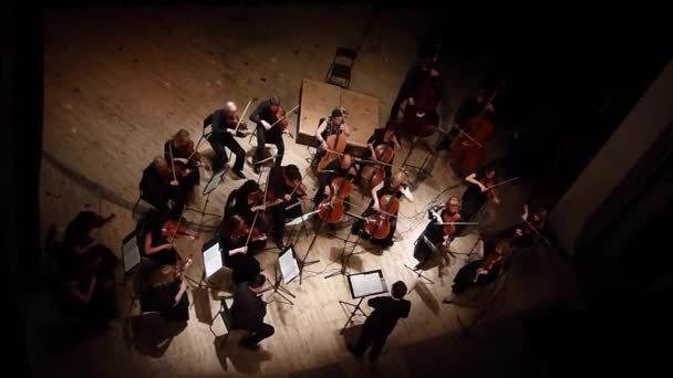 Dört Mevsim Oda Orkestrası — Stok video