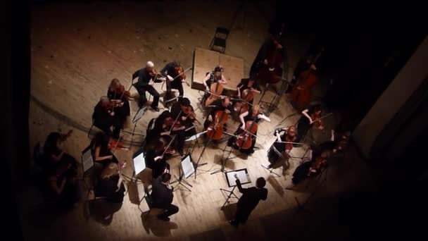 Vier seizoenen Kamerorkest — Stockvideo