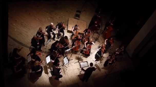 Čtyři sezóny Komorní orchestr — Stock video