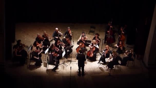 Vier seizoenen Kamerorkest — Stockvideo