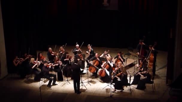 Quattro stagioni Orchestra da Camera — Video Stock