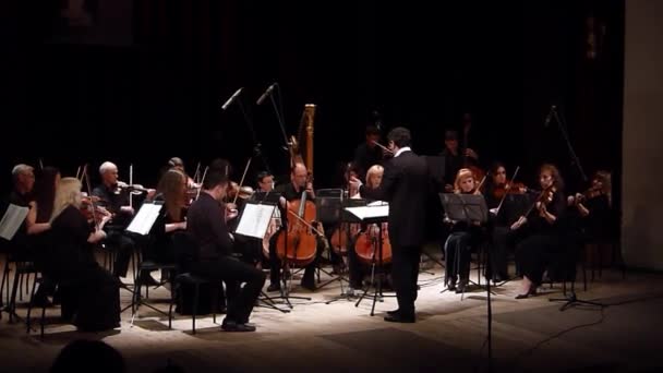 Vier seizoenen Kamerorkest — Stockvideo