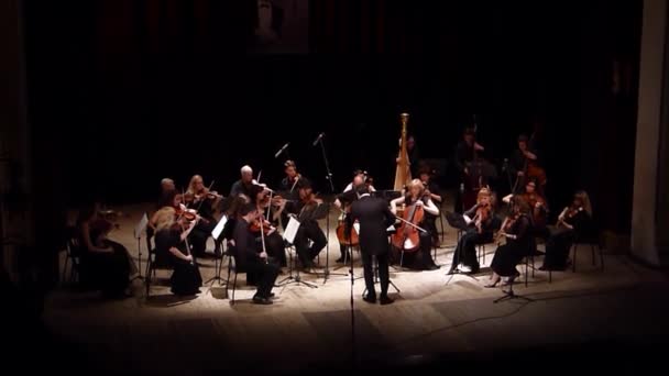 Vier seizoenen Kamerorkest — Stockvideo