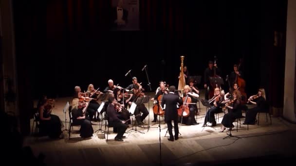 FOUR SEASONS Chamber Orchestra — Stock Video